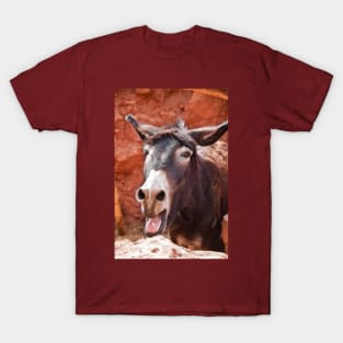 Morocco. Village. Donkey. T-Shirt